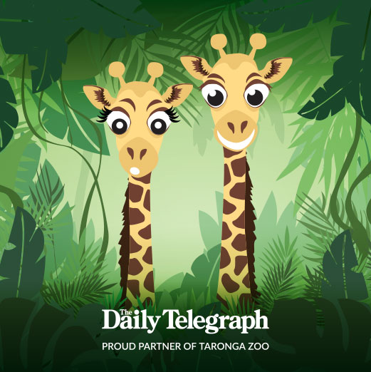 The Daily Telegraph's Taronga Zoo Face Panel